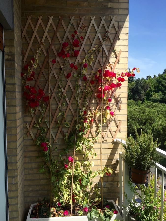 Happy Holiday In Rome B&B 外观 照片