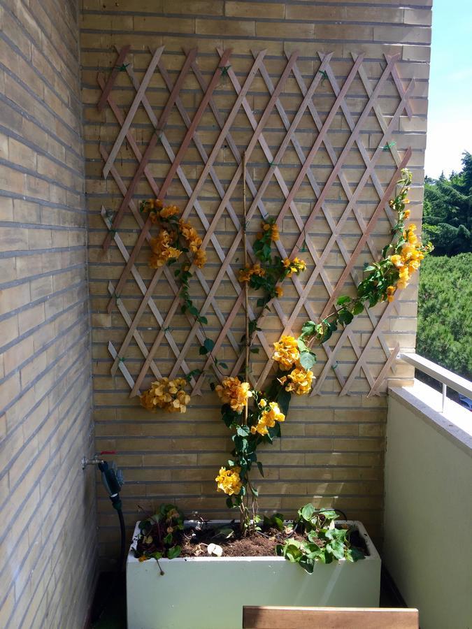 Happy Holiday In Rome B&B 外观 照片